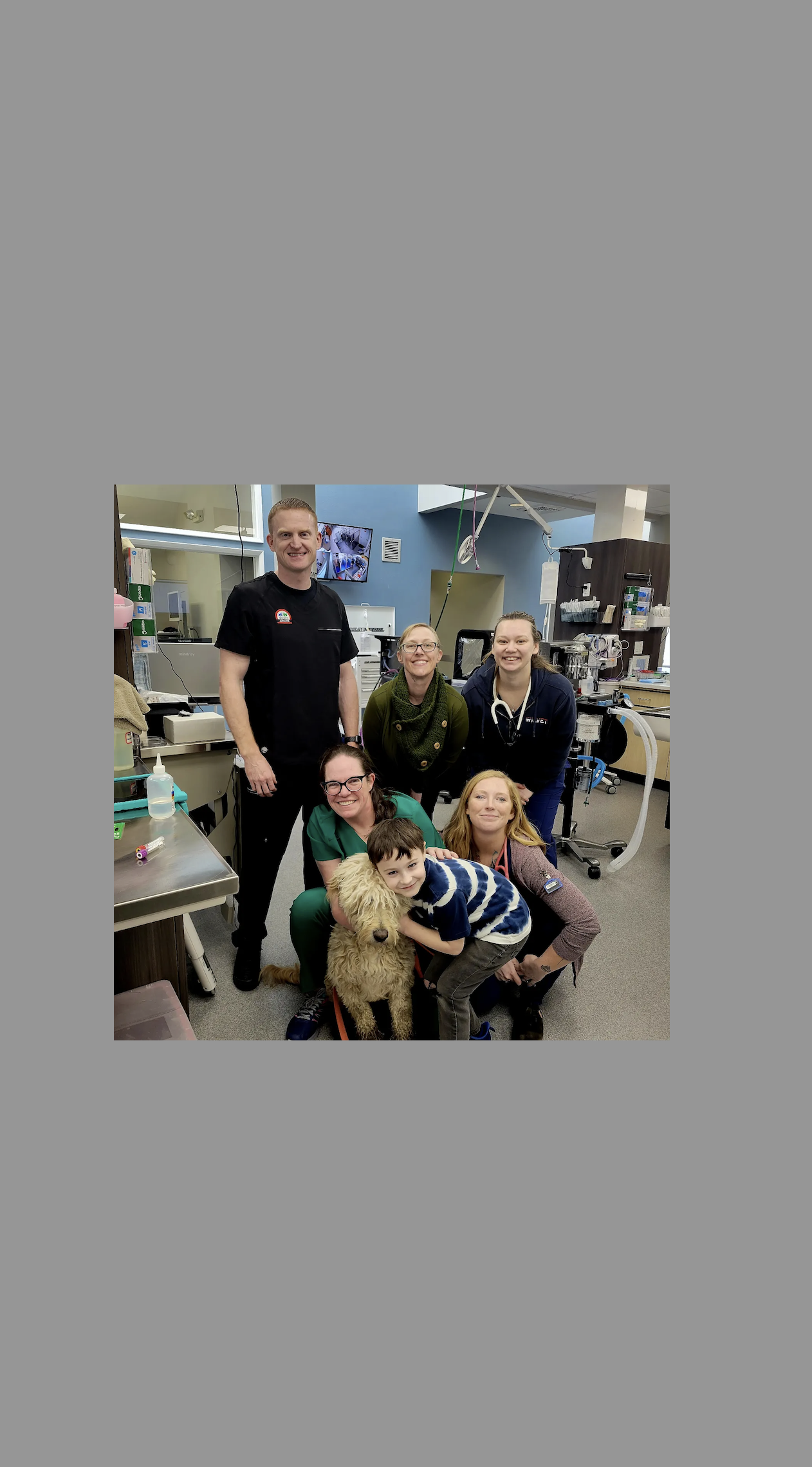 Springfield vet fundraising for furry friends