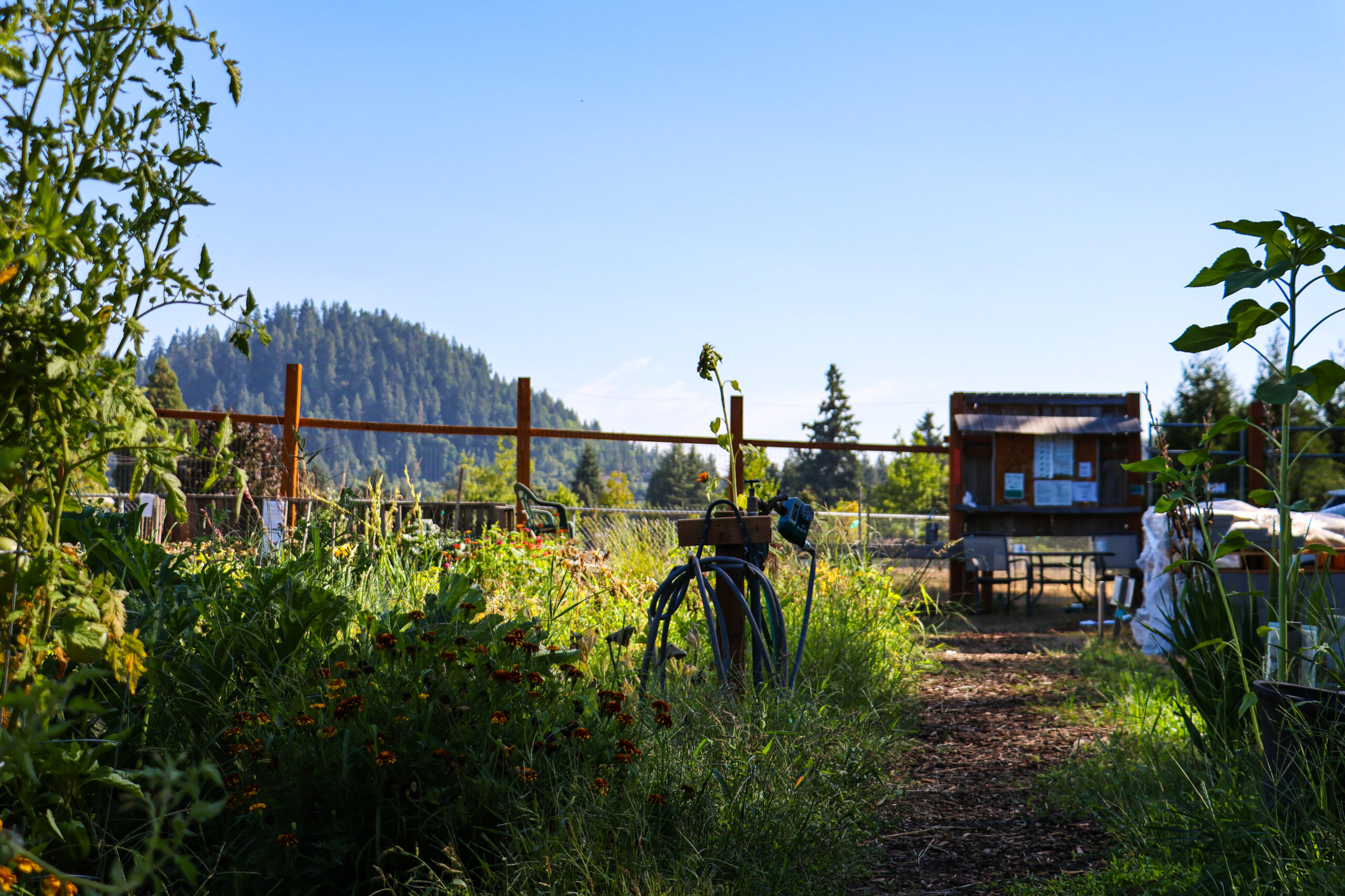 Oregon Farm to School Network launches 10-year vision plan