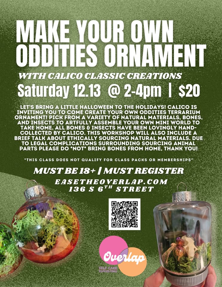 Make Your Own Oddities Ornament