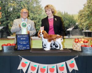 Annual COTW and Quail Run Cavaliers Health Clinic and Pot Luck Lunch