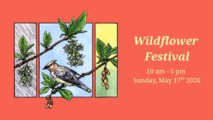 2026 Wildflower Festival