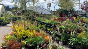 Spring Plant Days