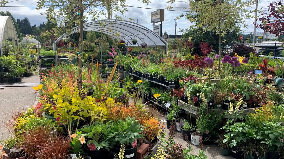 Spring Plant Days