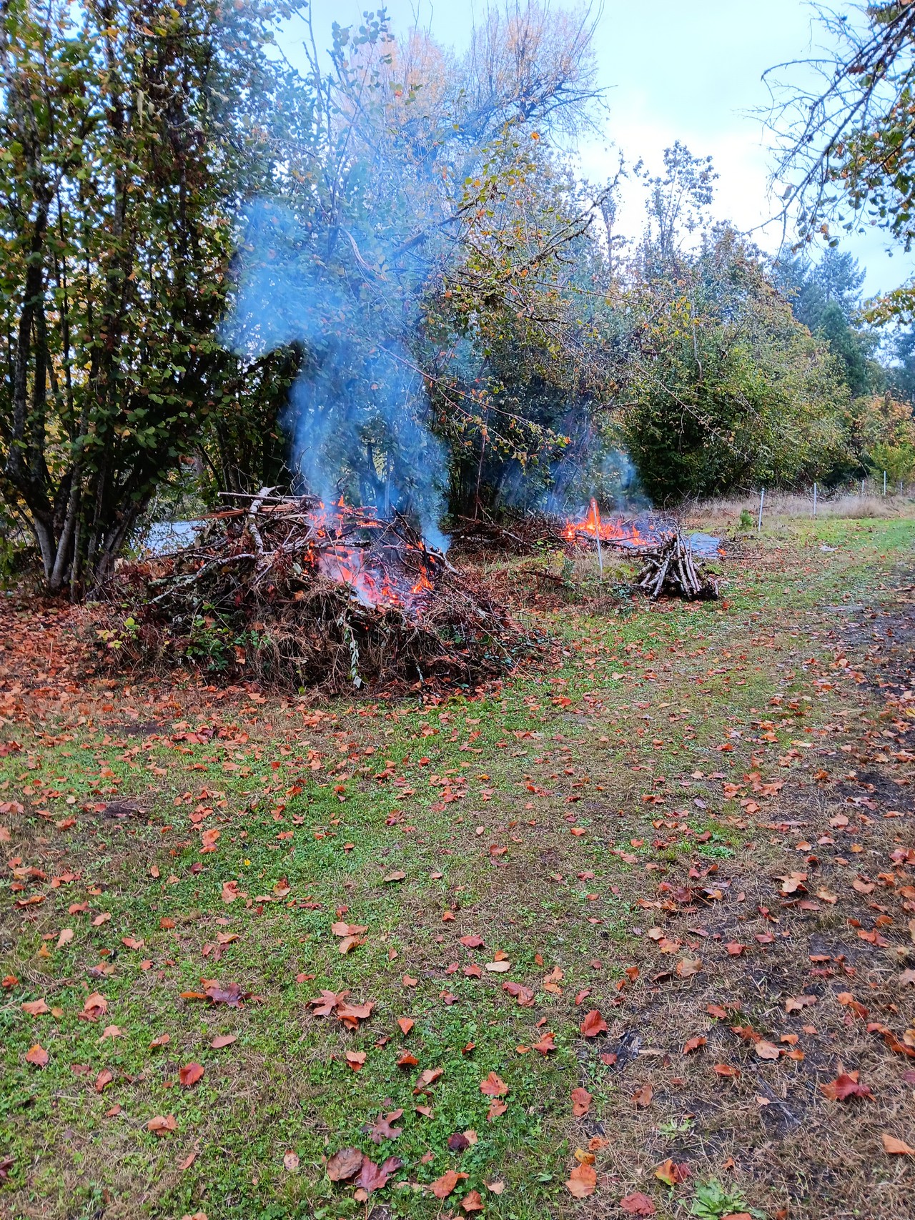 Volunteer Pizza/Fire party Saturday May 30