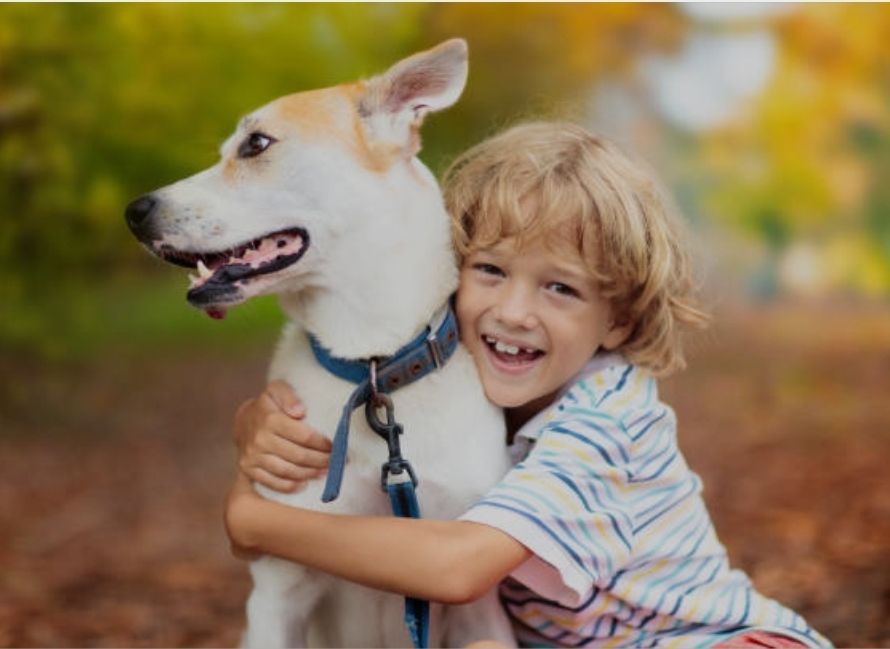 5.31.26 RESCUE PUPS AT BOHEMIA PARK!