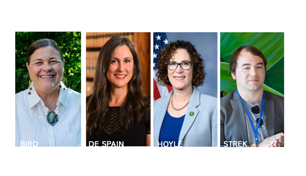 The Final Word: United States Rep. District 4