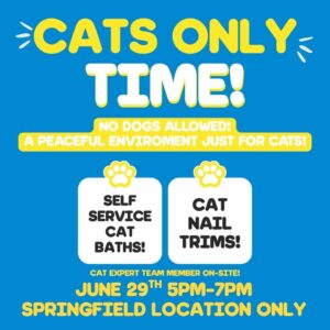 CATS ONLY TIME AT SUDS ‘EM SPRINGFIELD!