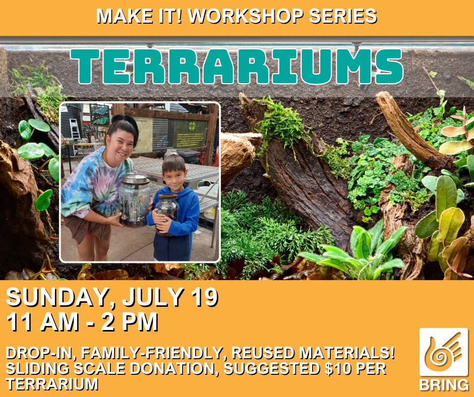 Make it! Workshop: Terrariums